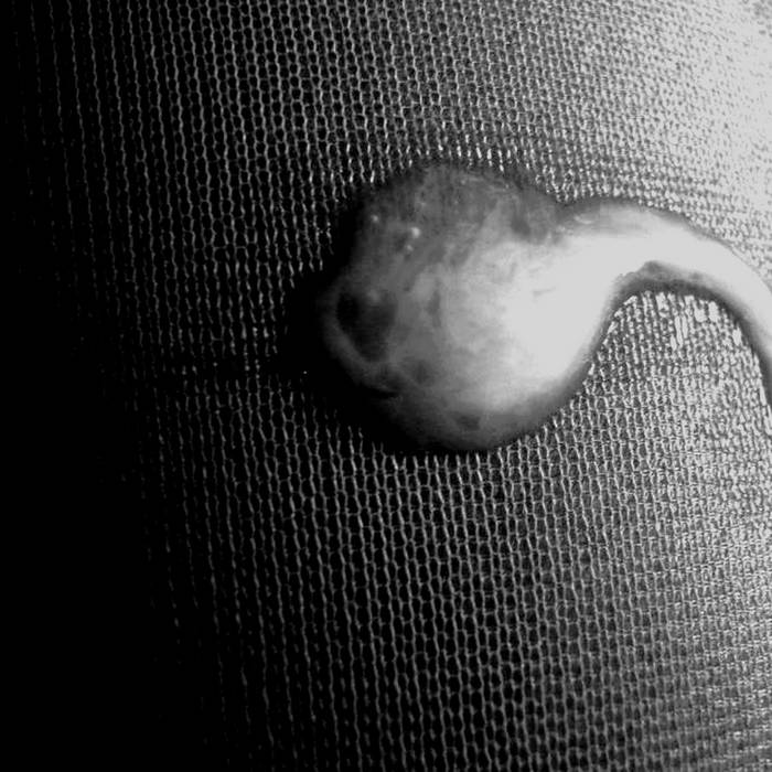 Xitoydan Pussy xxx fotosuratlar