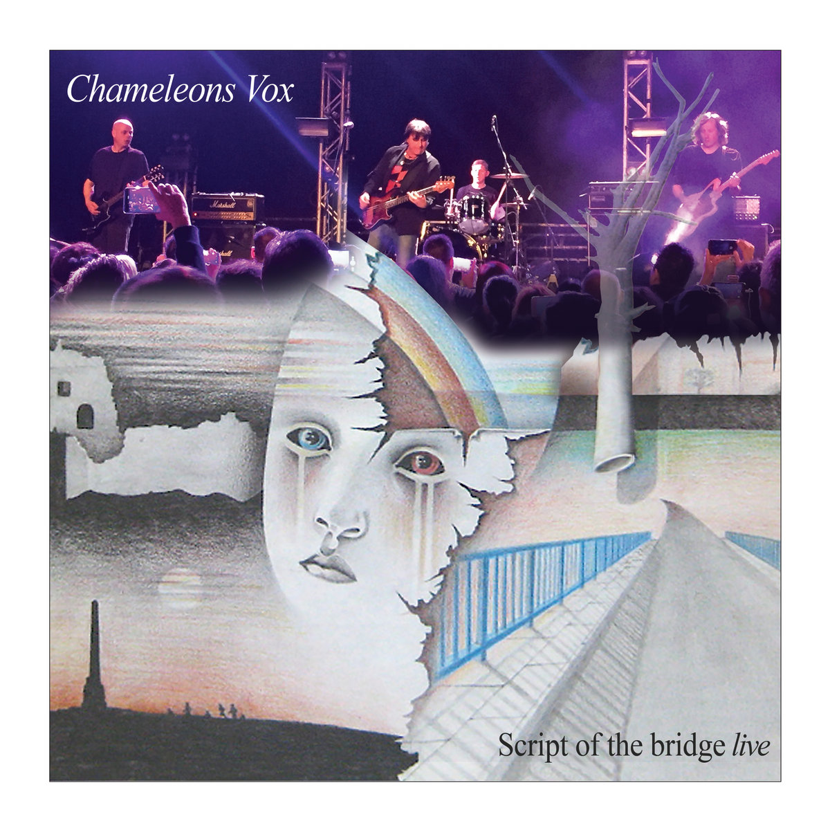 洋楽 Script of the Brdge/THE CHAMELEONS(LP) Chameleons U.K. – Script Of The Bridge – Vinyl