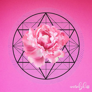 CRIQUE cover