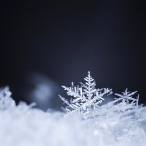 Snowflakes cover