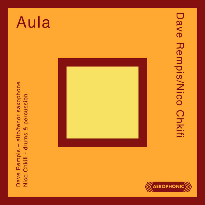 アウアーバッハ・ウィル/スティーブン・バーミンガム　Auerbach Will Aula | Dave Rempis/Nico Chkifi Duo | Aerophonic Records / Dave Rempis