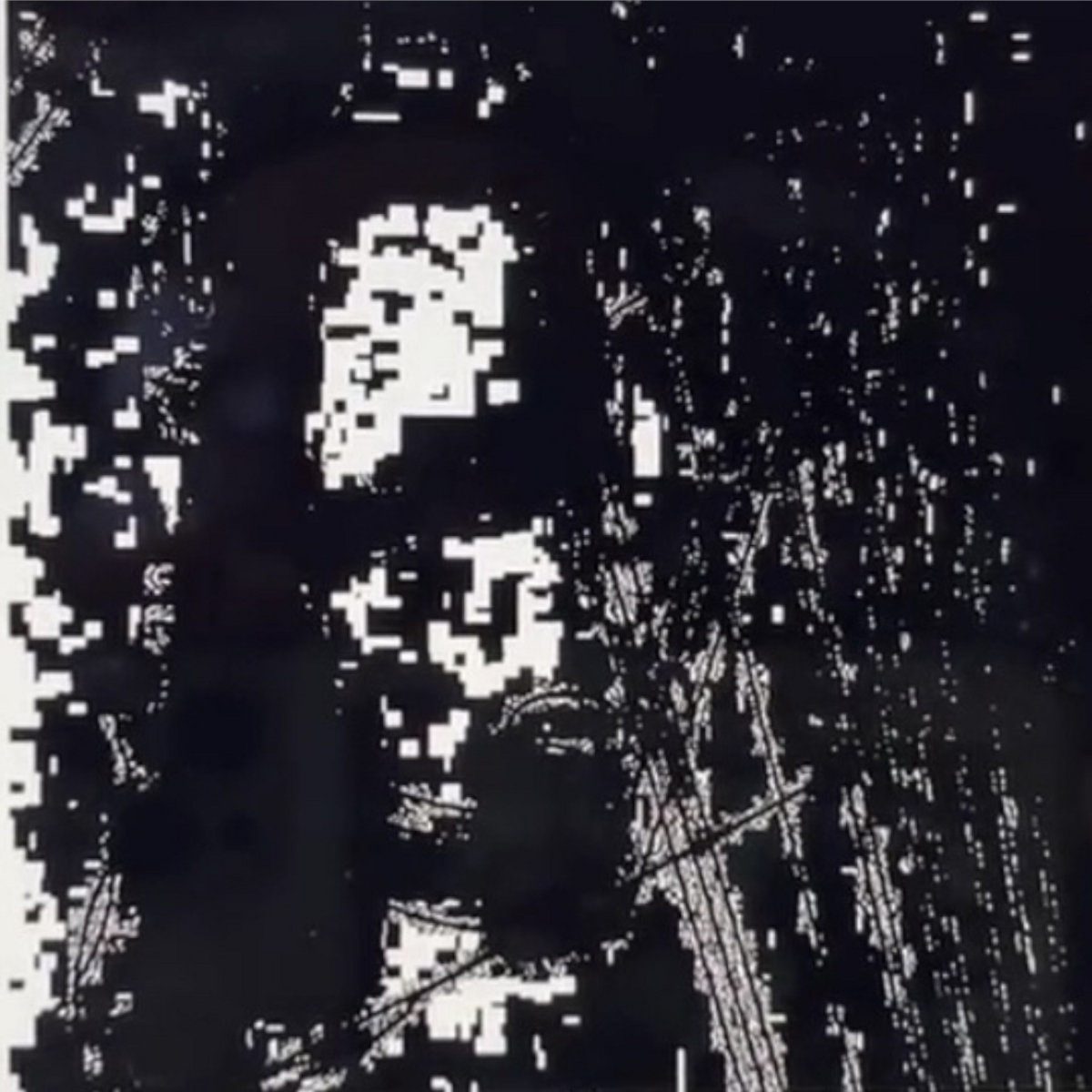 indigo re-dacted