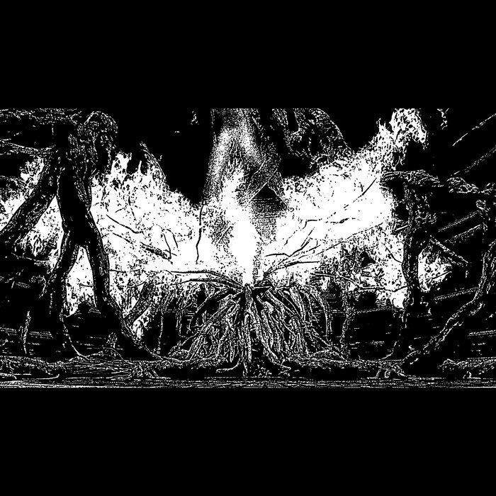 Plodding (Single) | Petrified Entity