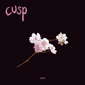 Win cover