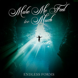 Make Me Feel Too Much cover