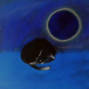 Nocturne cover
