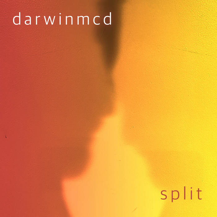 Split remix. Split remix
