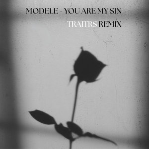 You Are My Sin (Traitrs Remix) cover