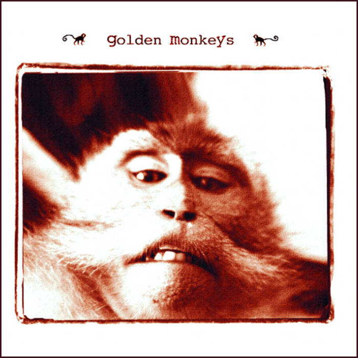 1995年 GOLDEN MONKEY記念 Golden Monkeys | Golden Monkeys / Yusuke Yamamoto
