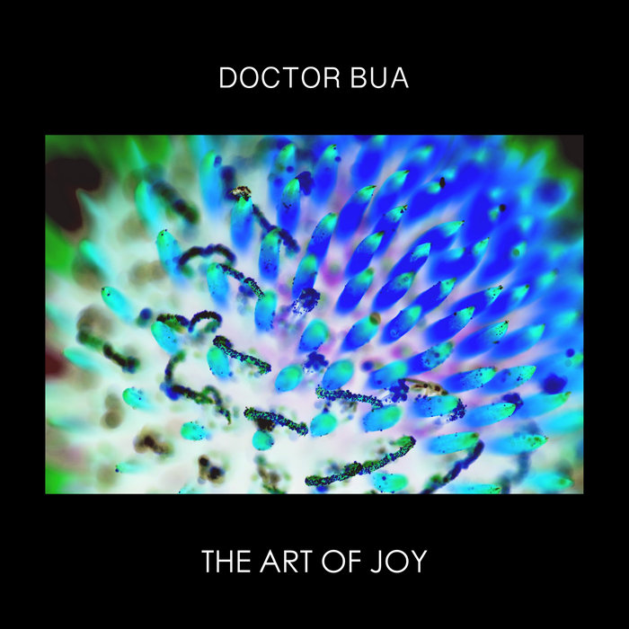 The Art Of Joy Doctor Bua