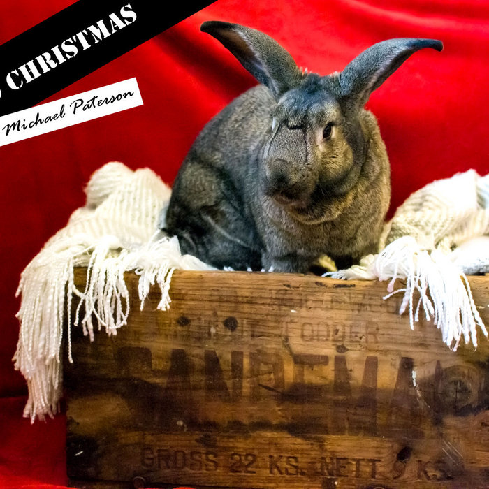 An Odd Christmas | Michael Paterson
