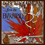 I Bleed A Decade Of Song Bonfire Madigan