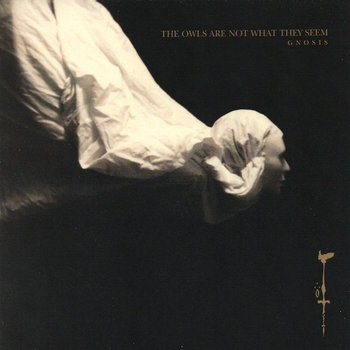 Music | The Owls Are Not What They Seem