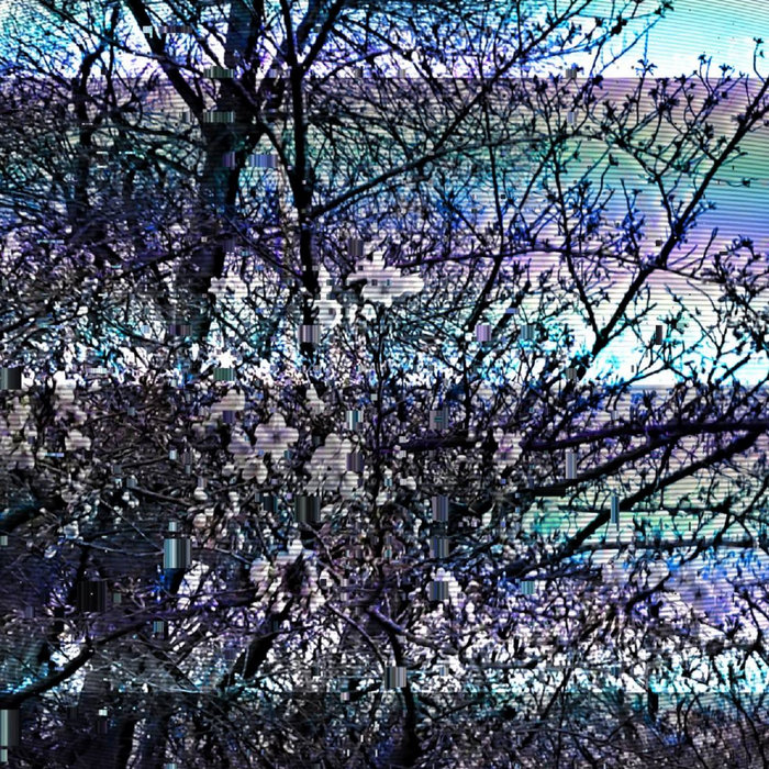 UNTITLED 03 | shin(())code | $uiciderecord$