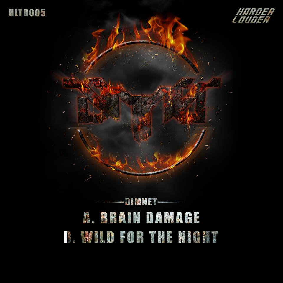 Artwork for Brain Damage / Wild For The Night