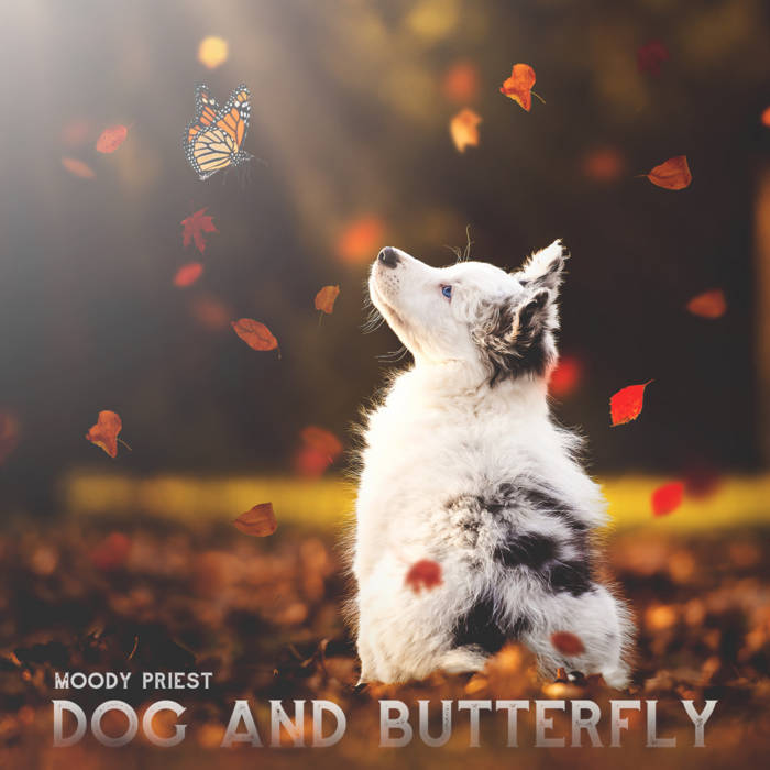 Dog and Butterfly Moody Priest