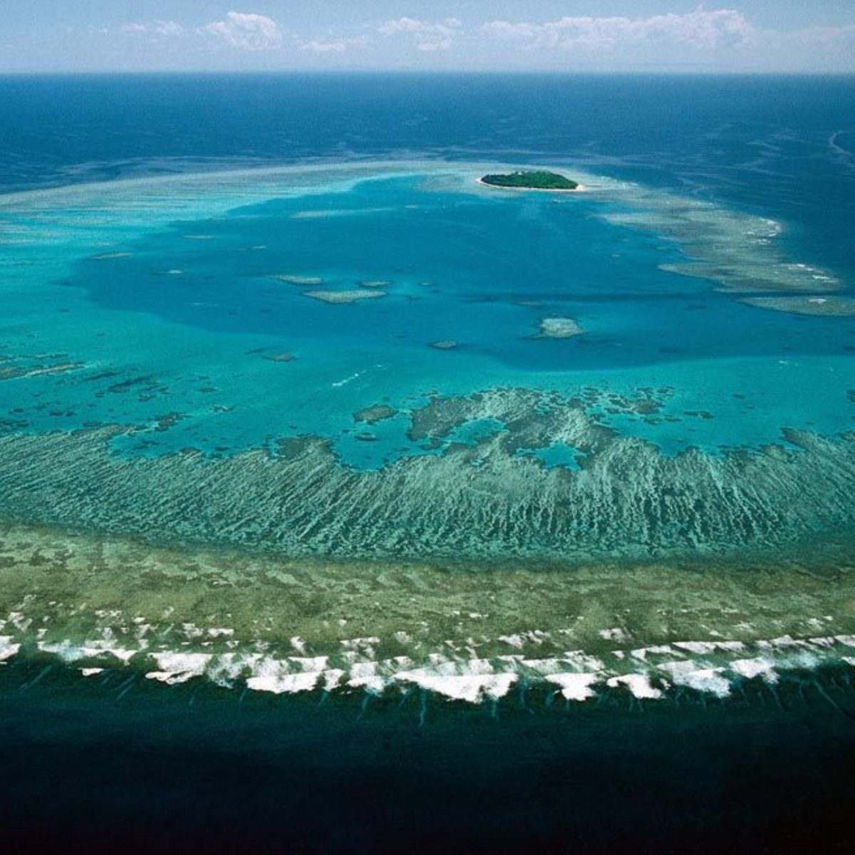 The Ancient Tropic Sea