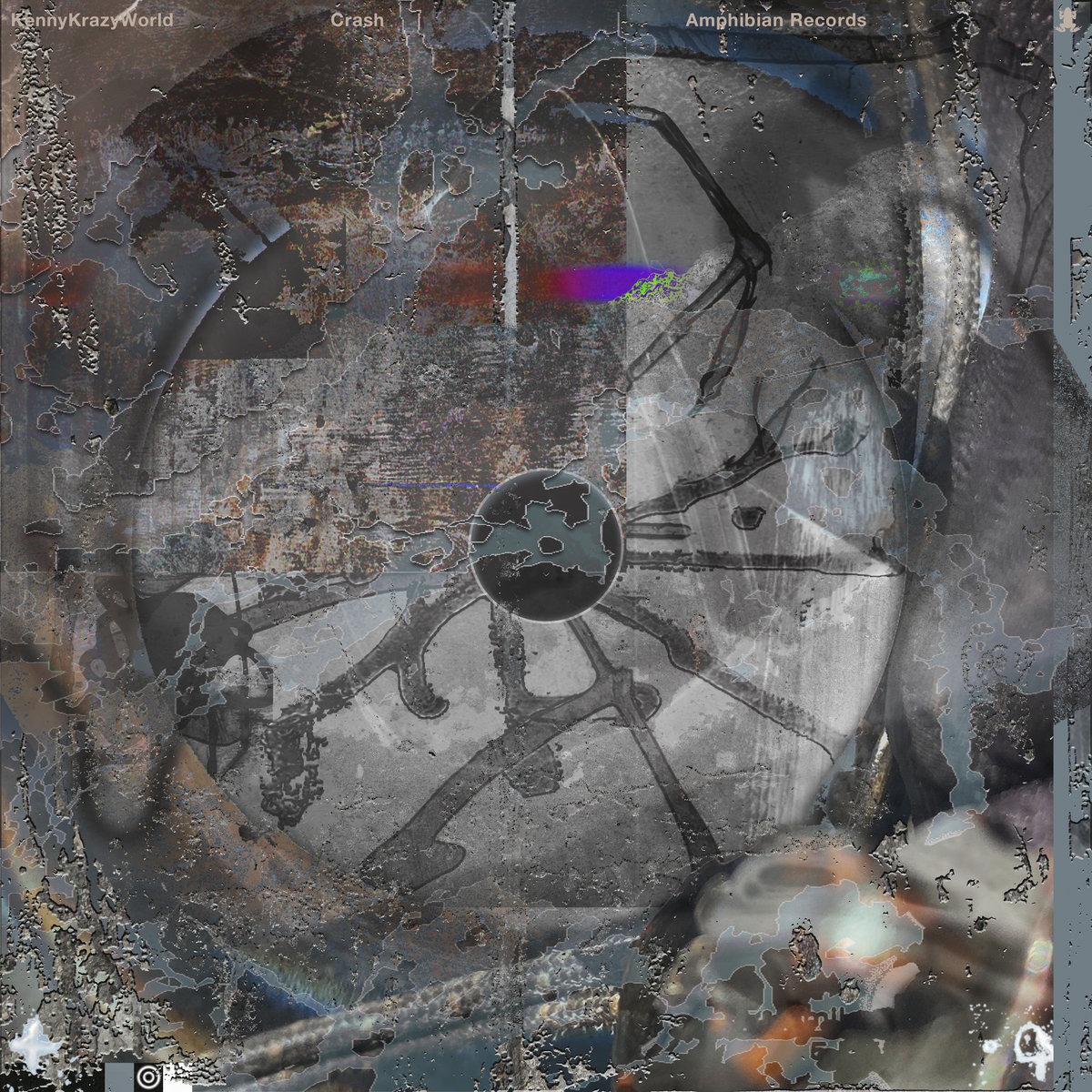 Swamp Motions II | Various Artists | Amphibian Records