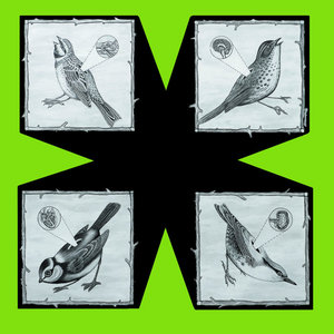 North Sea Radio Orchestra — Birds