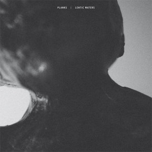 Split w/ Lentic Waters cover