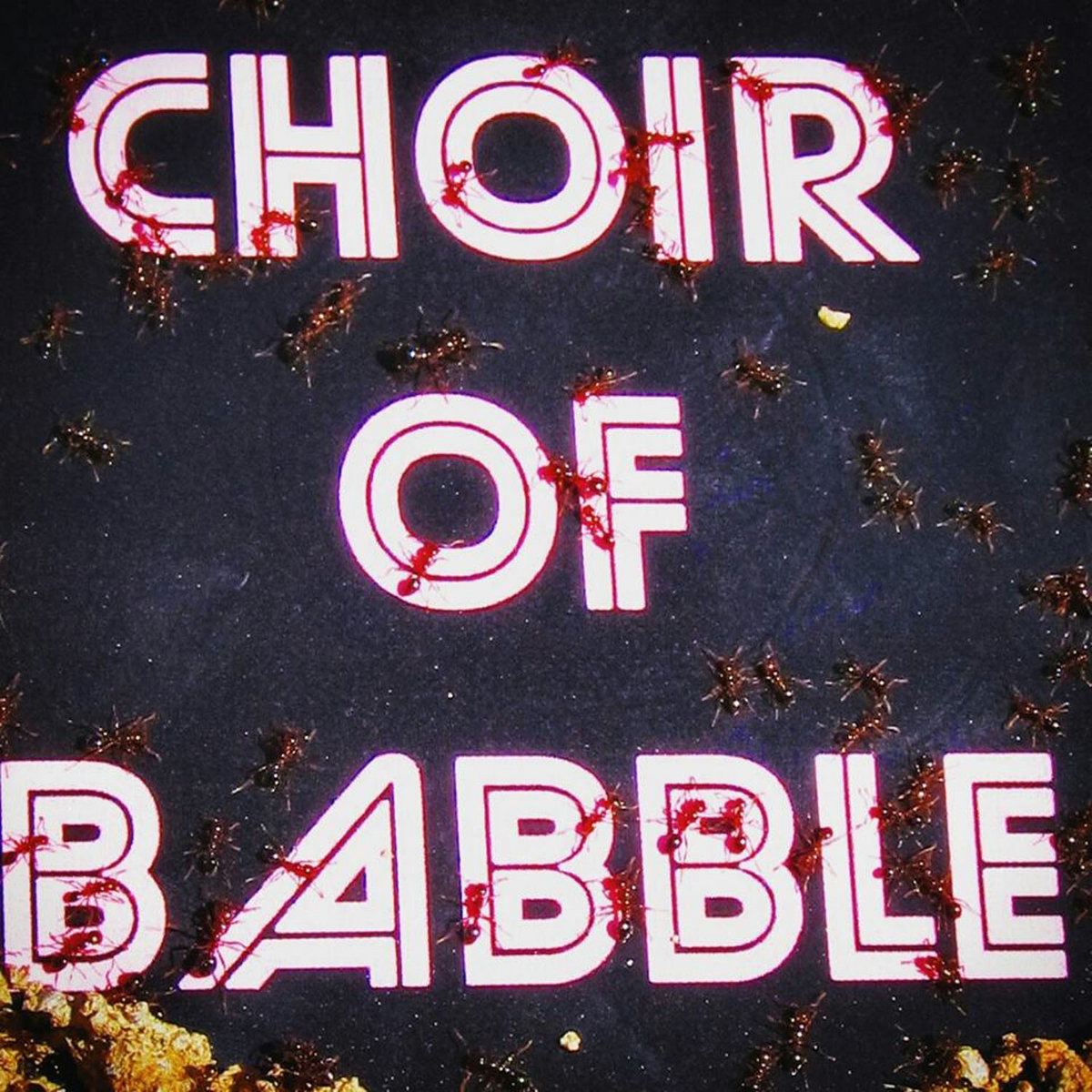 www.facebook.com/babblechoir