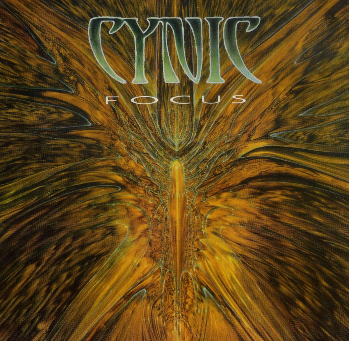 Focus | Cynic