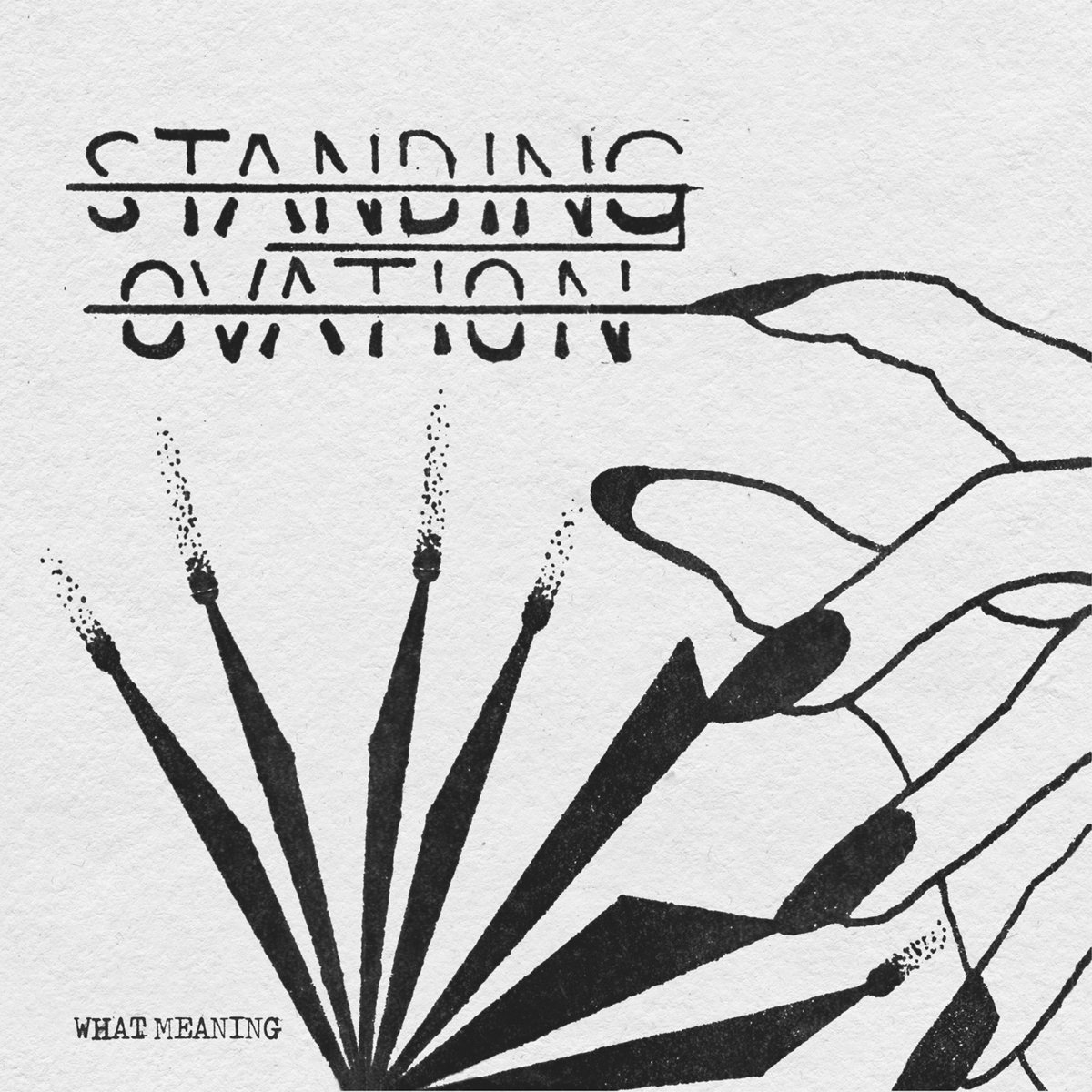 What Meaning / DW022 | Standing Ovation | Dead Wax Records