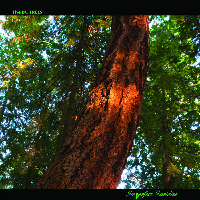 Imperfect Paradise The BC Trees