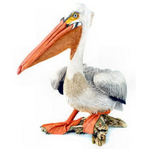 mystical pelicans cover art