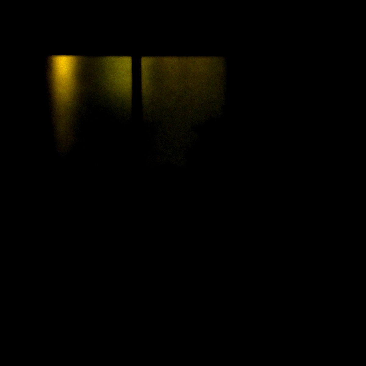 Ghost Of A Bird cover