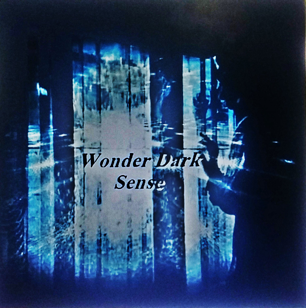 Sense | WONDER DARK