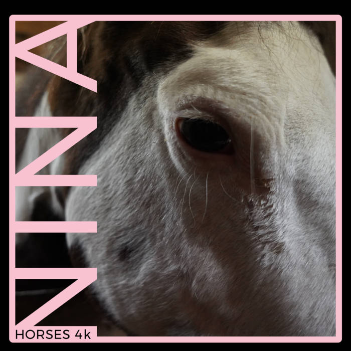 Nina | Horses 4k