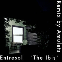 The Ibis (Amulets Remix) cover art