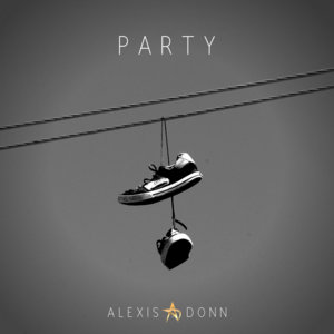 Party cover