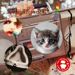 Audio Report R