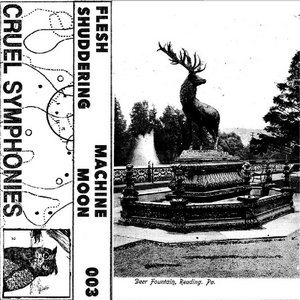 Deer Fountain (split w/ Flesh Shuddering) cover