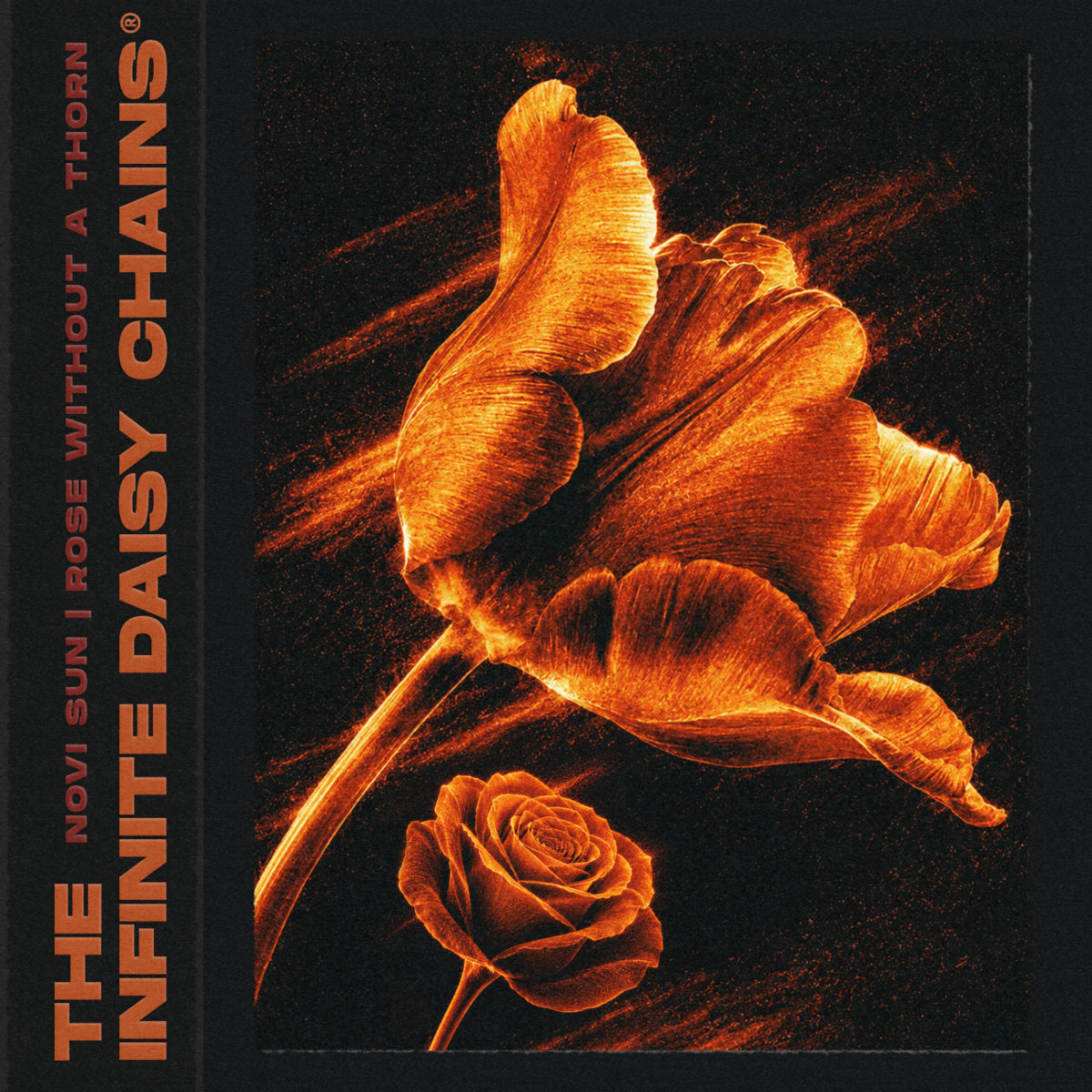 The Infinite Daisy Chains - Novi Sun