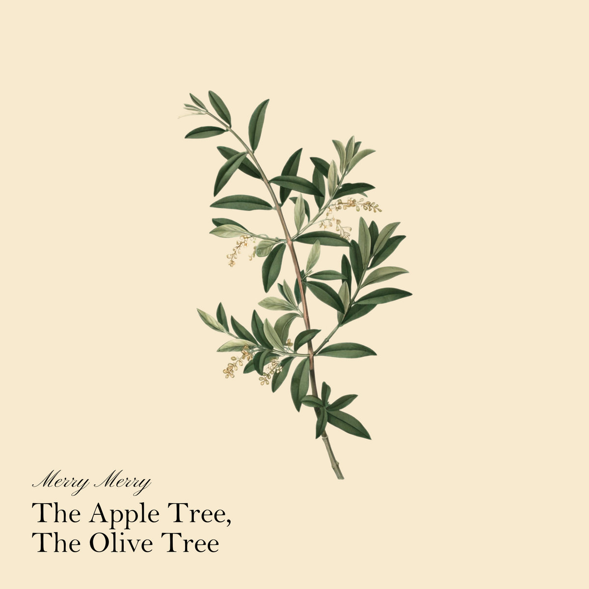 The Apple Tree, The Olive Tree