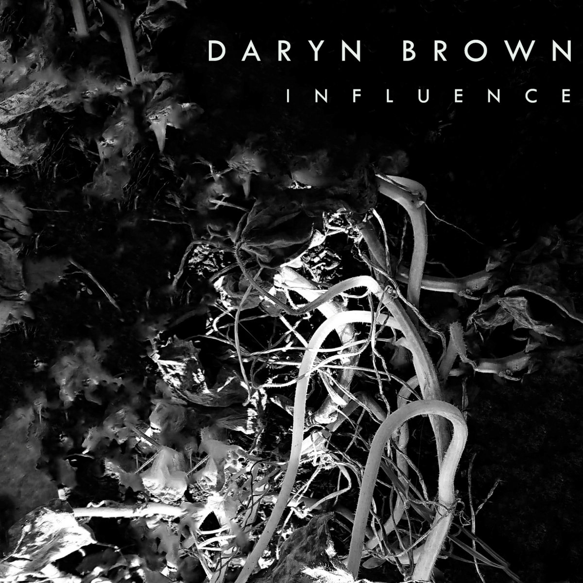 Influence Daryn Brown influence-daryn-brown