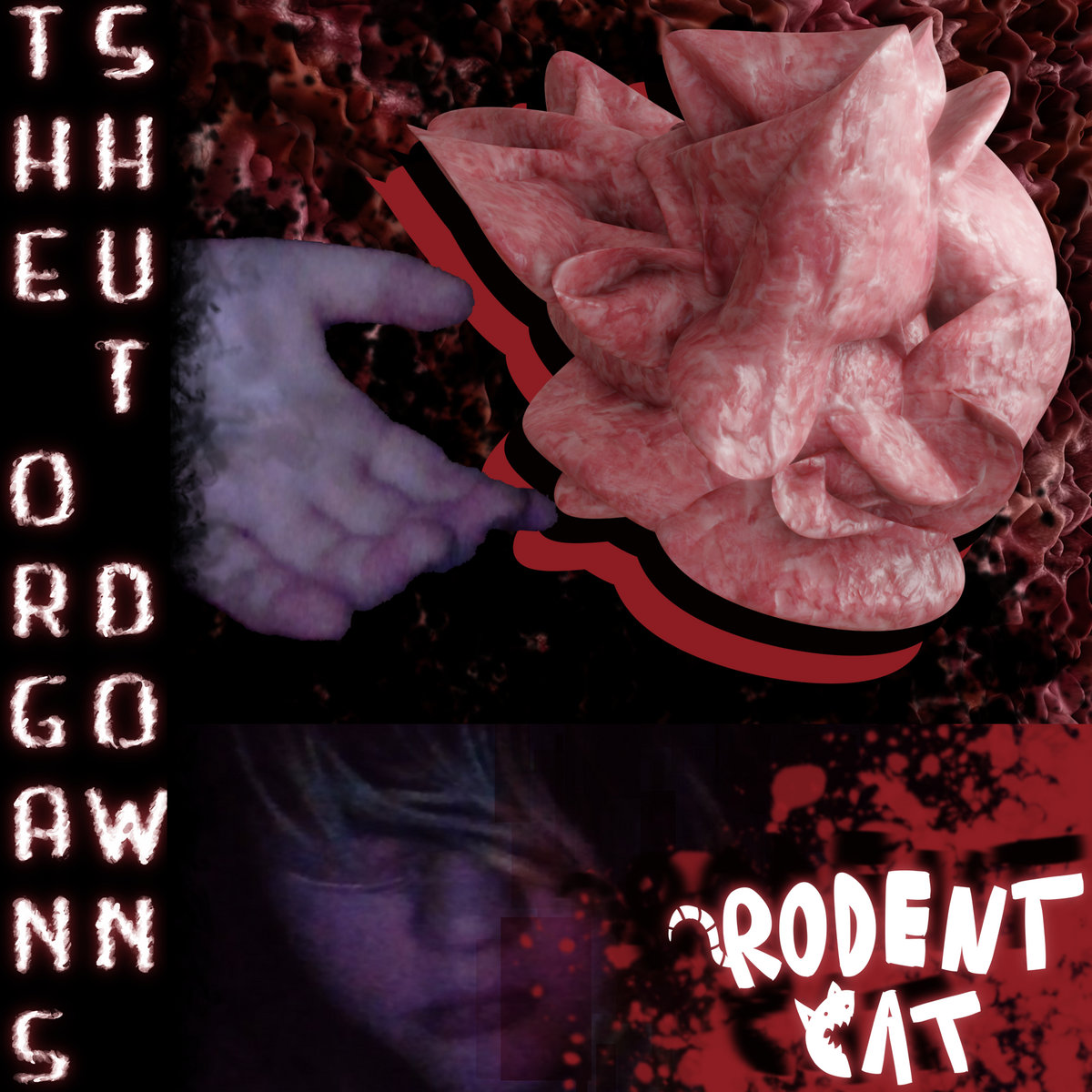 The Organs Shut Down | Rodent Cat