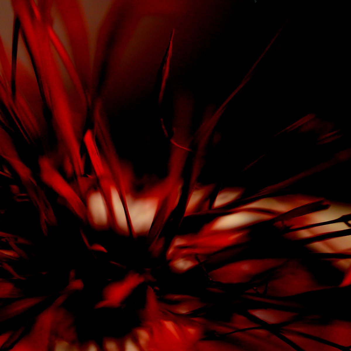 Archaea cover artwork