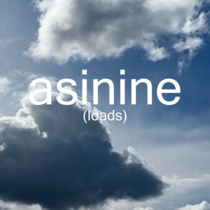 Asinine — asinine loads