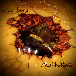 AGNOSIS cover