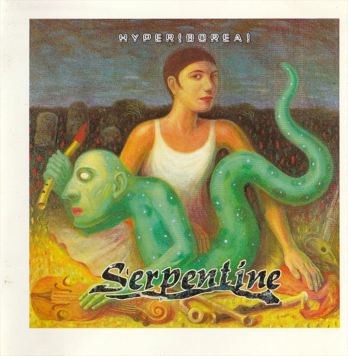 Serpentine cover