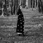 Evelyn O'Connell - The Old Wood Road