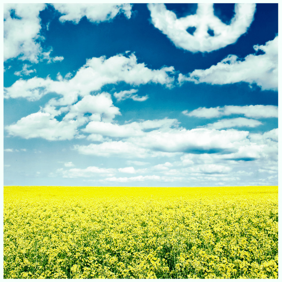 Hello, NONE UPP​,​I CANou !