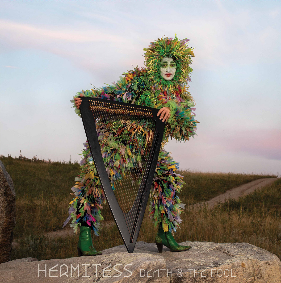 Death & The Fool by Hermitess