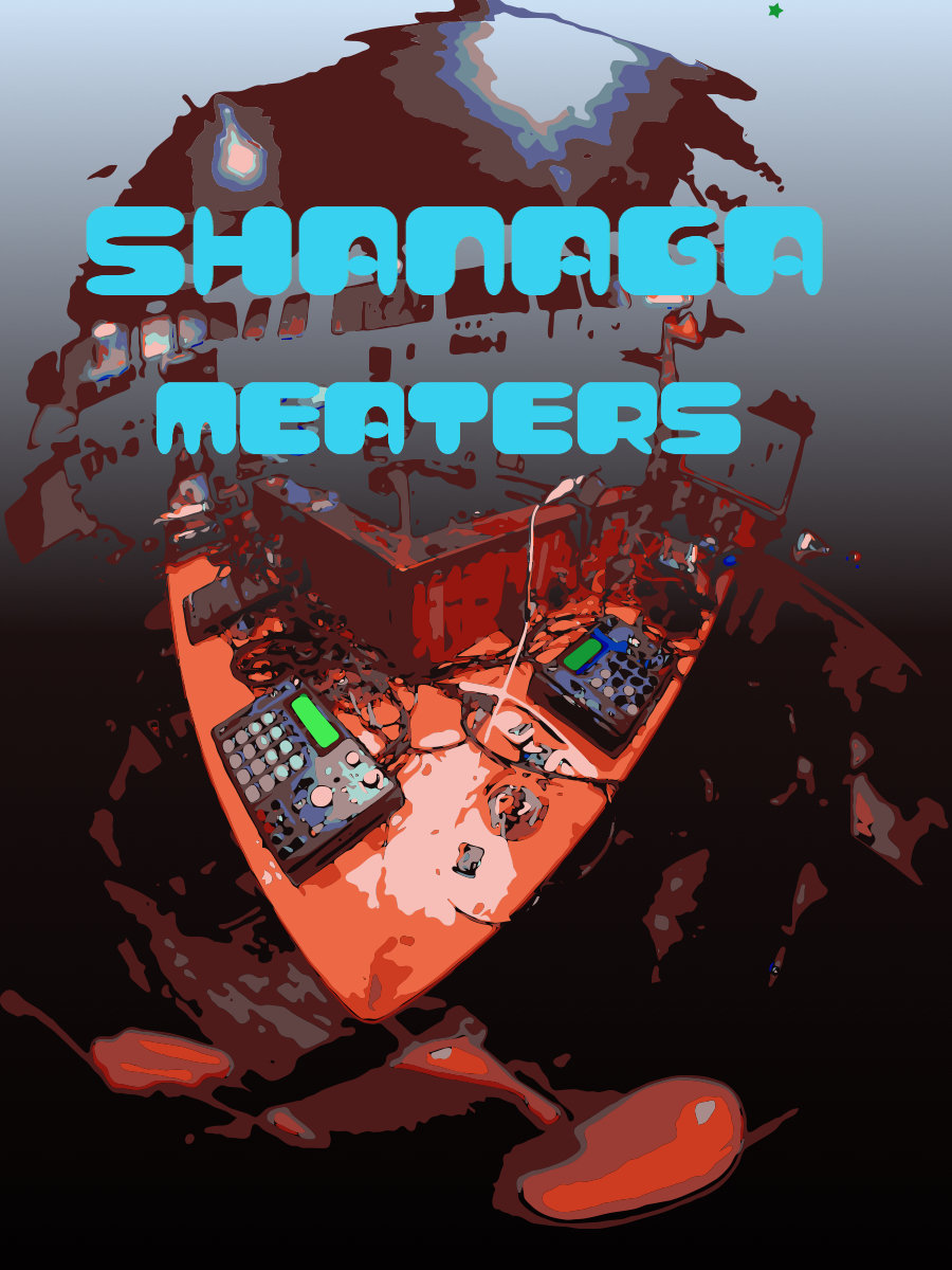 MEATERS 濱ROLL Just The Two Of Us 7インチ盤 MEATERS 濱ROLL SHANAGA