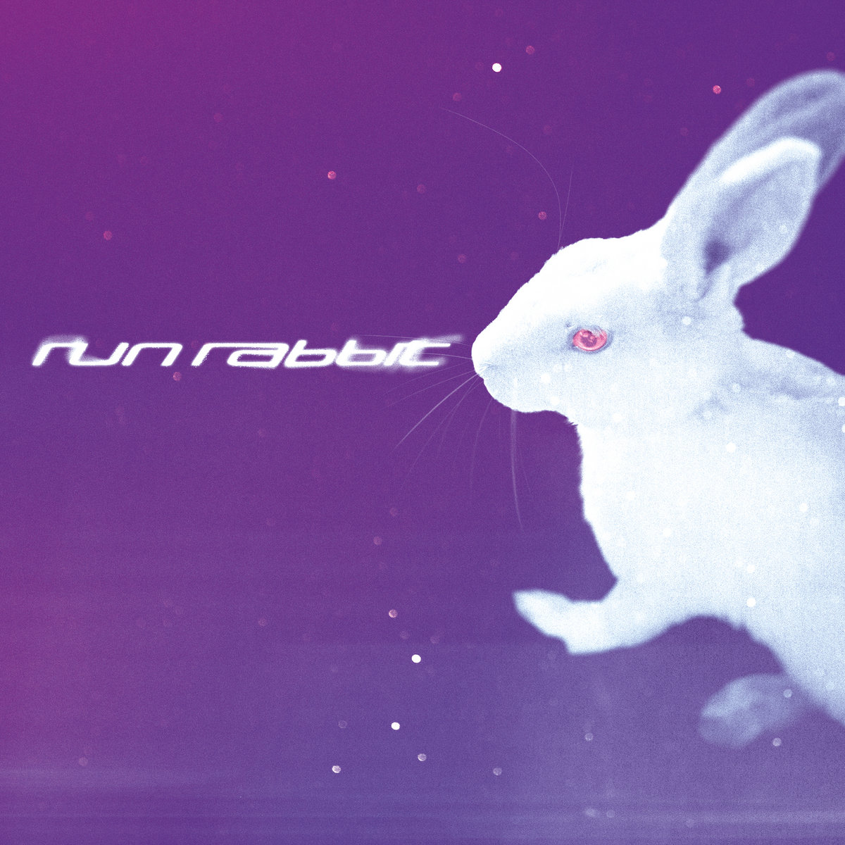 if six was nine RABBIT/ RUNNING初期 Run Rabbit | ALT BLK ERA