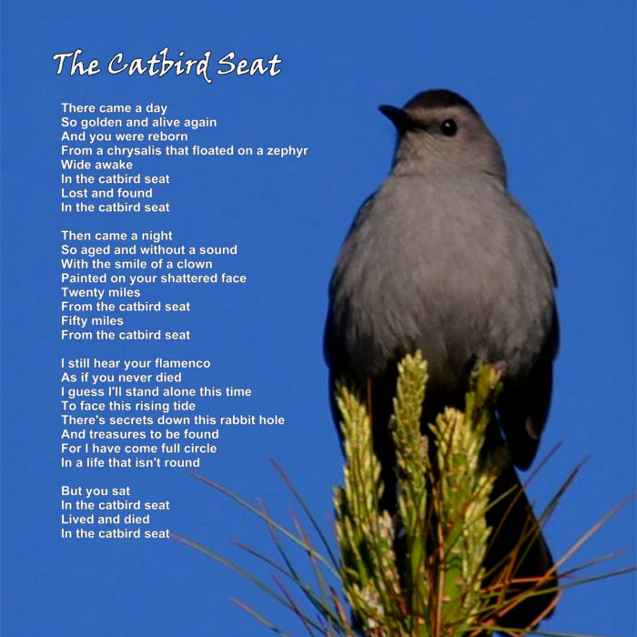 catbird seat short story